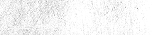 Ornamental Brush